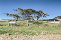 small-photo